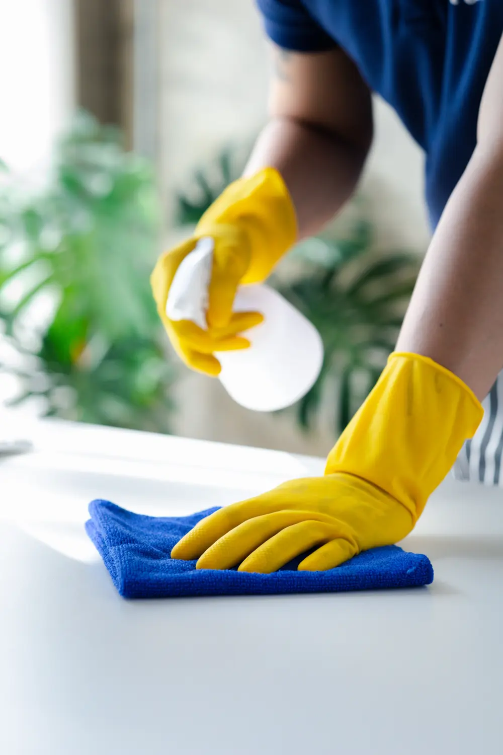 Person reinigt das Zimmer, Reinigungspersonal wischt die Tische im Büroraum der Firma mit einem Tuch ab und sprüht Desinfektionsmittel ein. Reinigungspersonal.